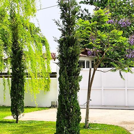 Ferienwohnung Seaside Jacaranda Schinias Exterior foto