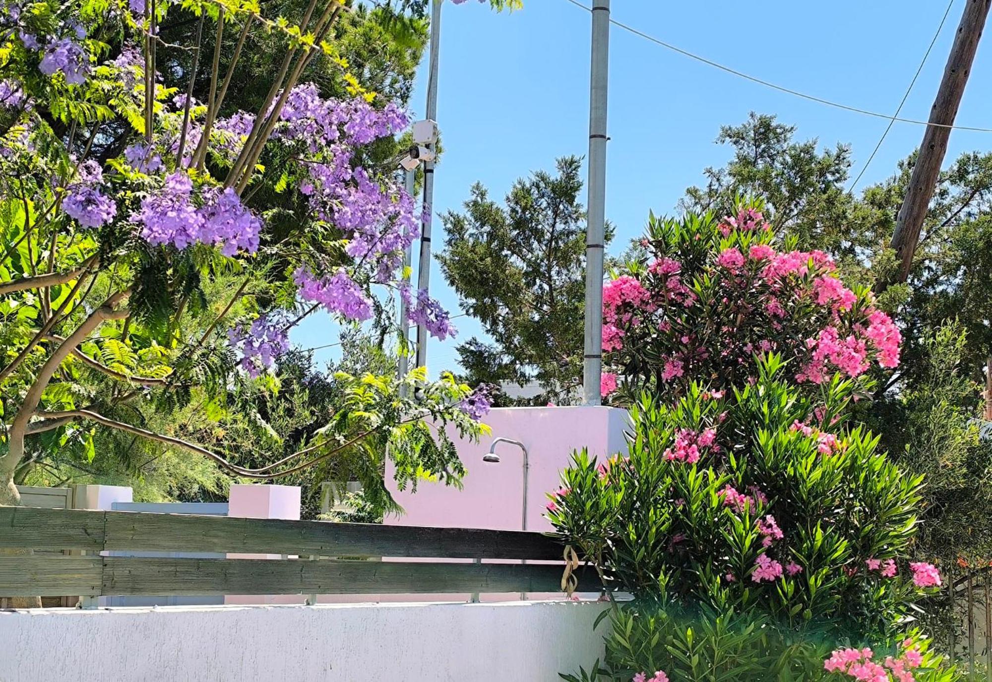 Ferienwohnung Seaside Jacaranda Schinias Exterior foto